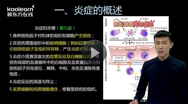 考研西医学硕暑假班