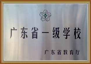 关于青之藤国际学校