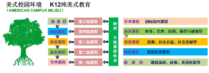 深圳市枫叶学校课程